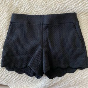 Loft Black Shorts with Tags